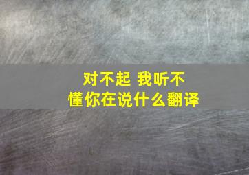 对不起 我听不懂你在说什么翻译